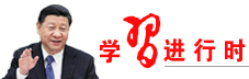 習(xí)近平活動報道集